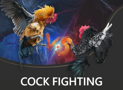 mcwin cockfighting